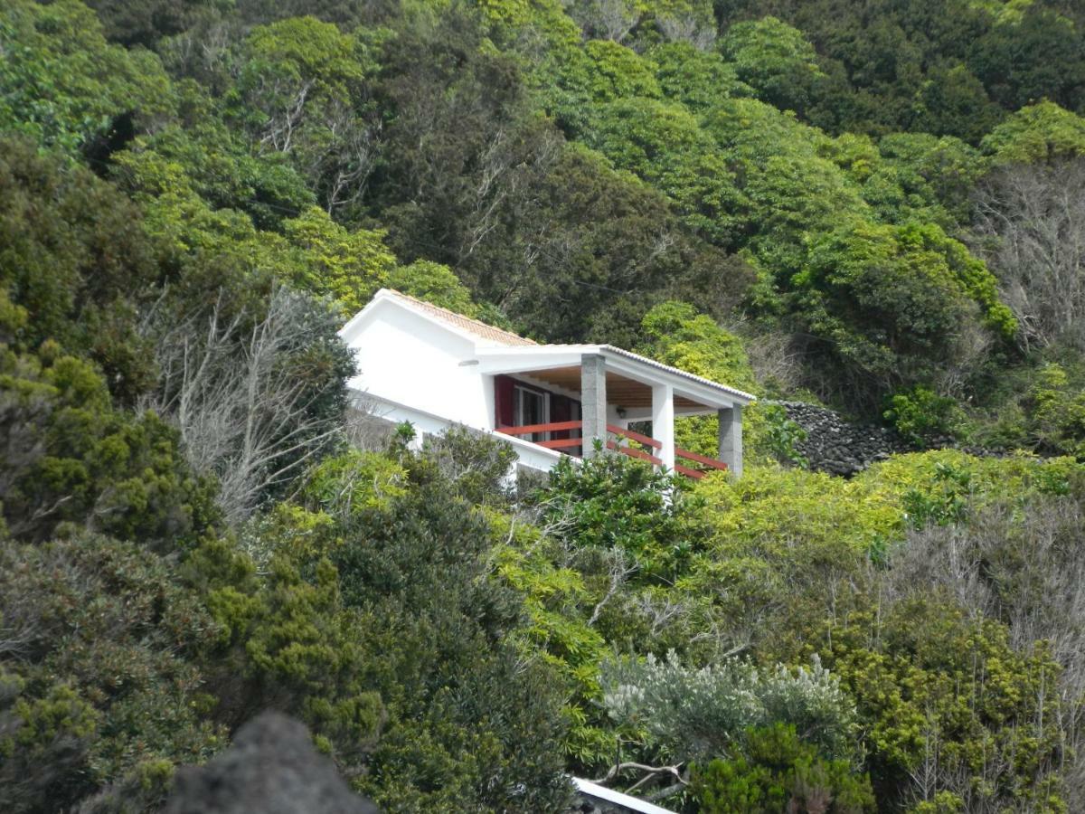 Adega Ninho Da Cagarra Βίλα Calheta de Nesquim Εξωτερικό φωτογραφία