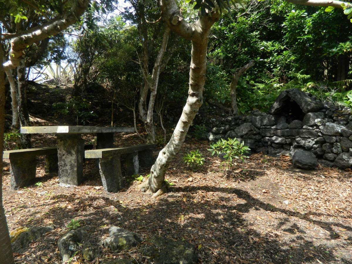 Adega Ninho Da Cagarra Βίλα Calheta de Nesquim Εξωτερικό φωτογραφία